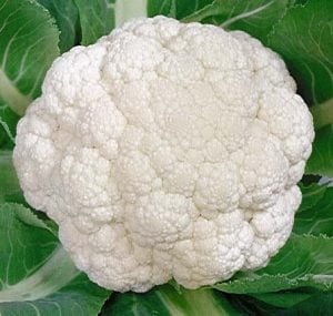 Coliflor Snowball