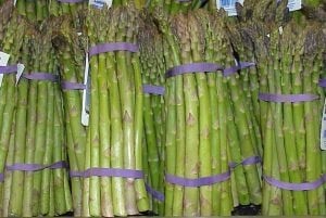 Espárragos UC-157 F1